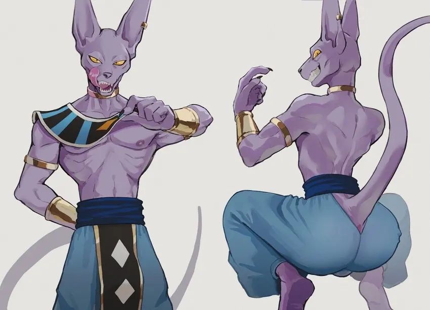 Avatar of Beerus | God of Destruction