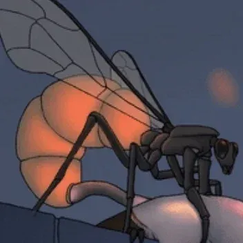 Avatar of The egg layer bug