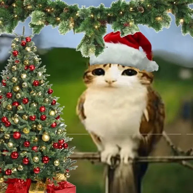 Avatar of Merry christmas (just a bit earlier