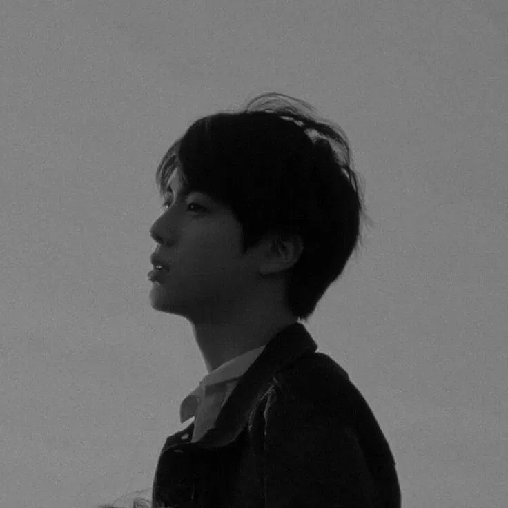 Avatar of Mr. Kim Seokjin