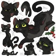 Avatar of Jayfeather