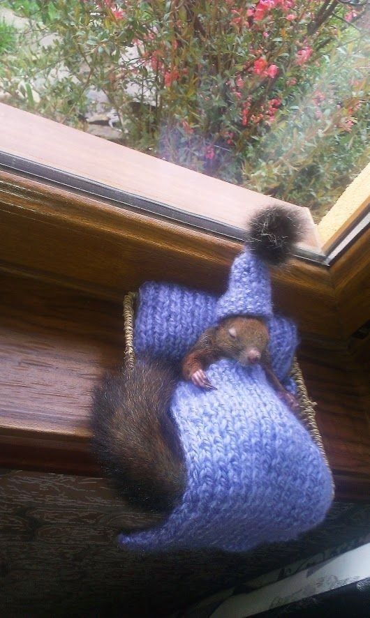 Avatar of Depressed squirrel 