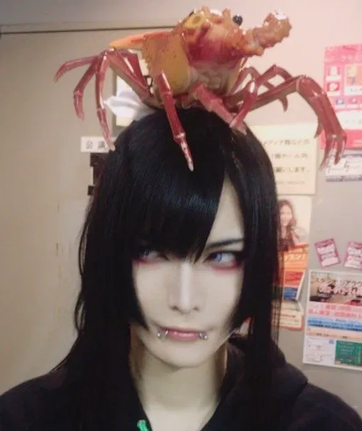 Avatar of ┆ ⤿ 🌱🫐 ⌗ Boogie- Jiluka