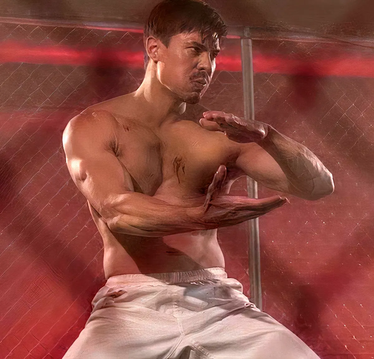 Avatar of Cage Fight: Sensei Wolf 🐺 (Bottom)
