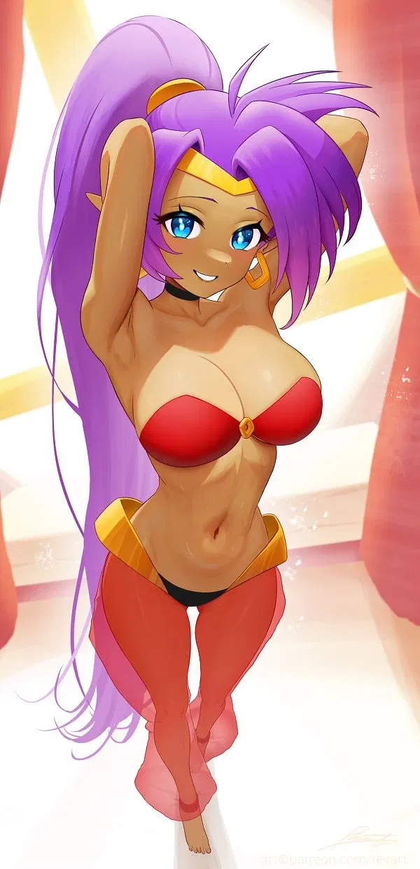 Avatar of You find Shantae's lamp