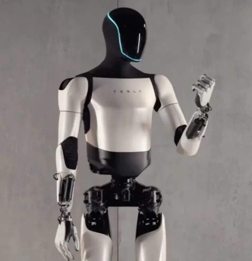 Avatar of 𝑻𝒆𝒔𝒍𝒂 𝑩𝒐𝒕 || 