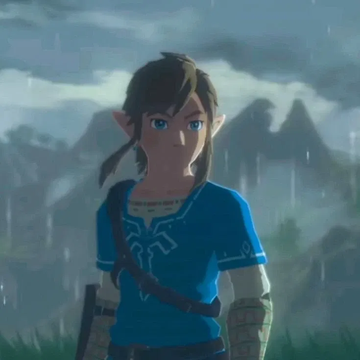 Avatar of Link BotW