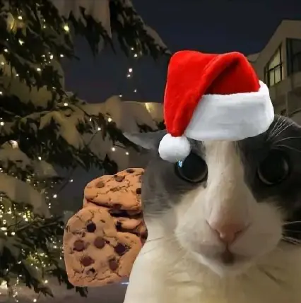 Avatar of merry krimas