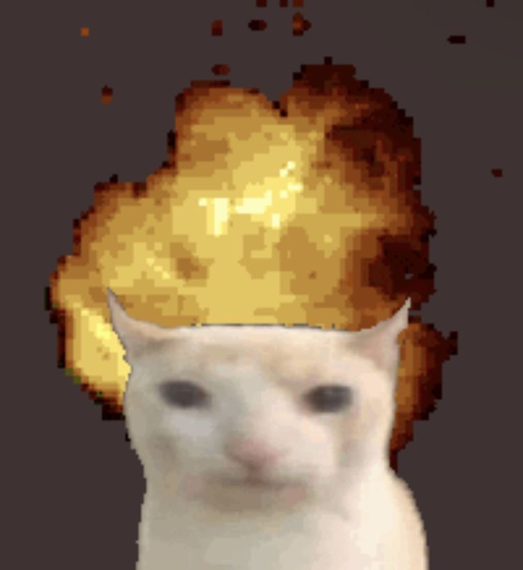 Avatar of INSPO THE CAT