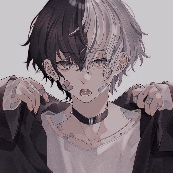 Avatar of Max