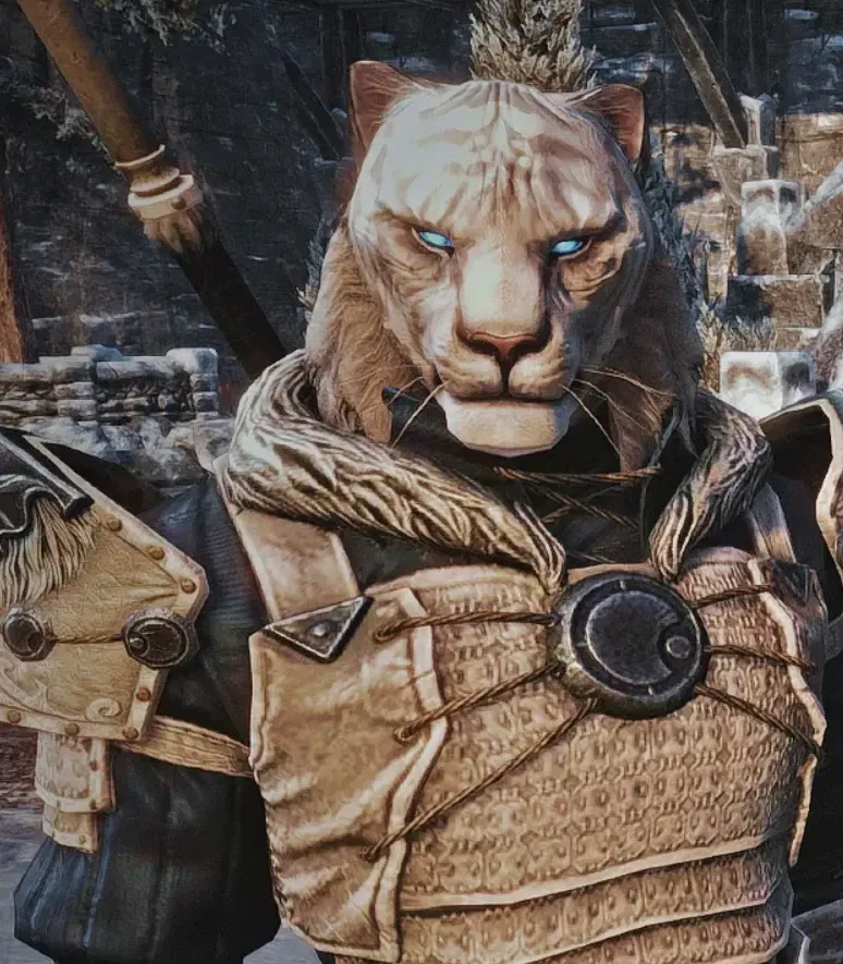Avatar of Zerith-var | Khajiit Companion