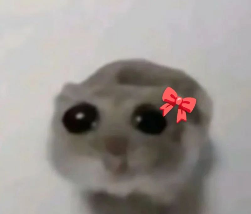 Avatar of Sad hamster 