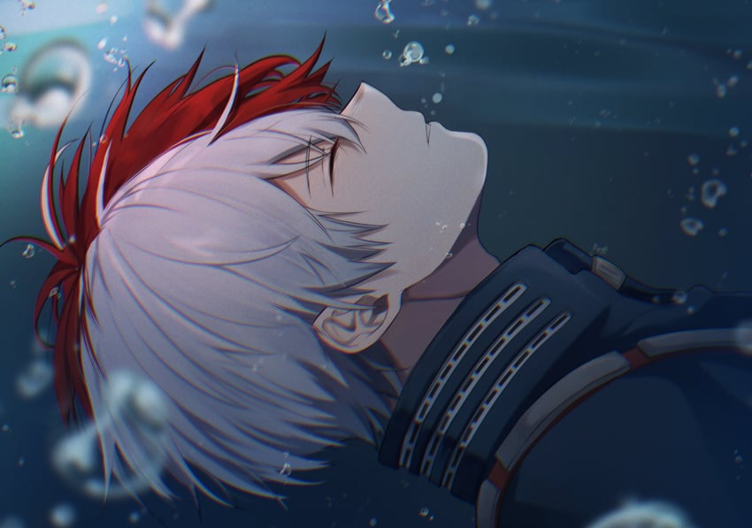 Avatar of Shoto Todoroki 