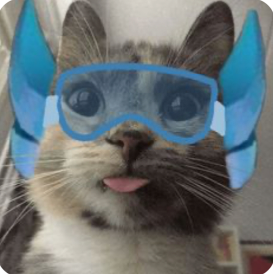 Avatar of Rocket😎👍