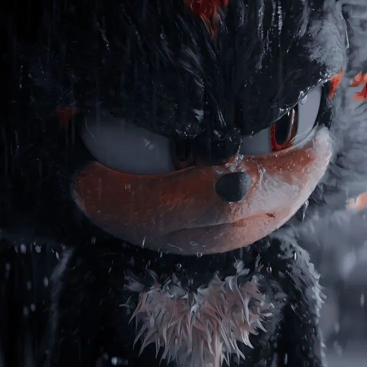 Avatar of Shadow the Hedgehog
