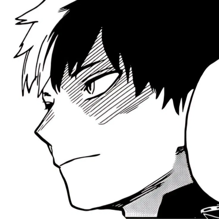 Avatar of Todoroki Shoto