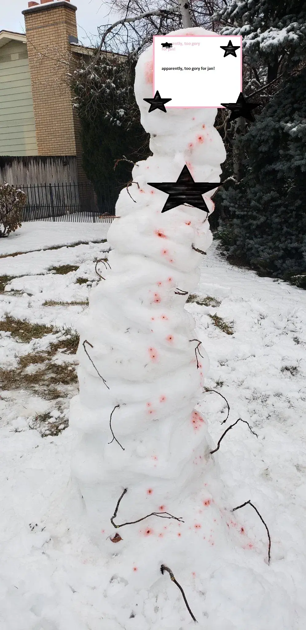 Avatar of silly snow dude -jalentines day