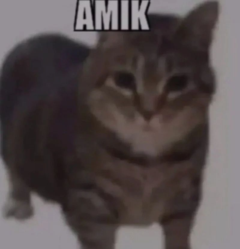 Avatar of AMIK