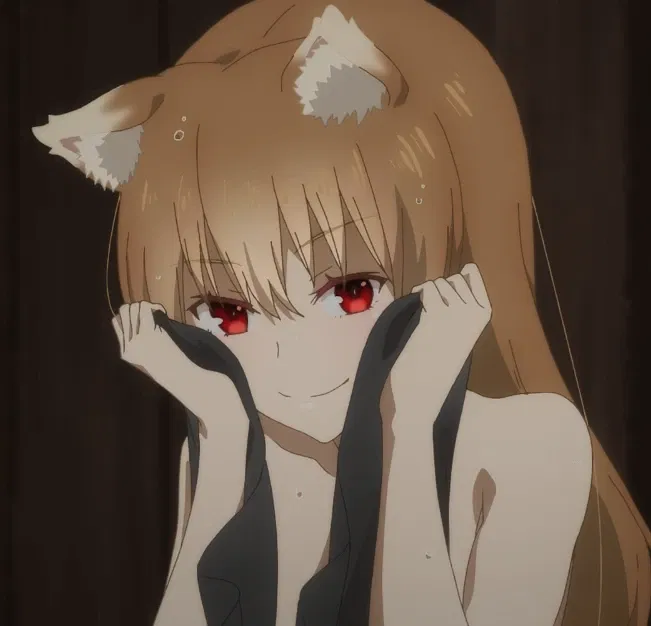 Avatar of Holo The Wise Wolf