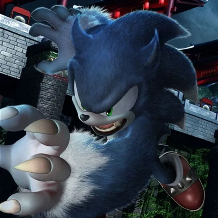 Avatar of [[🐺.•Sonic The Werehog•.🐺]]