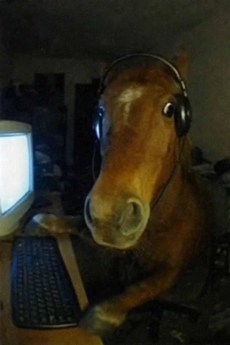 Avatar of Hey guys