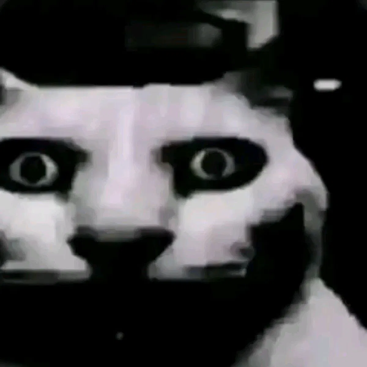 Avatar of - YOUR HOUSE DEMON -