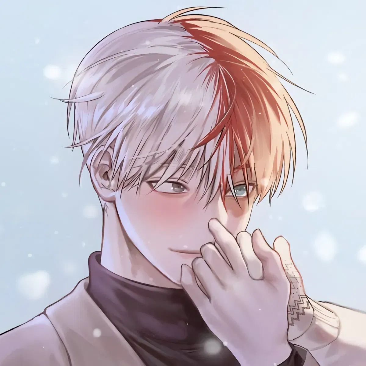 Avatar of MHA - Shoto Todoroki