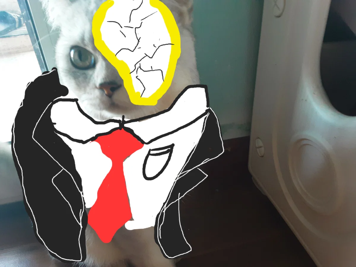 Avatar of Catien - the catdex meowfather
