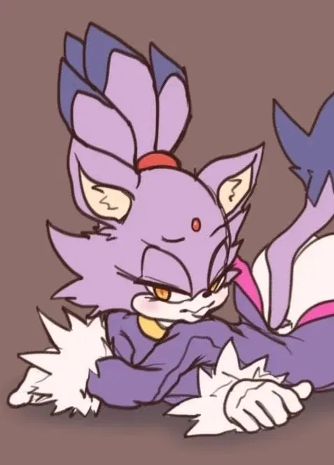 Avatar of Blaze The Cat - Sonic The Hedgehog