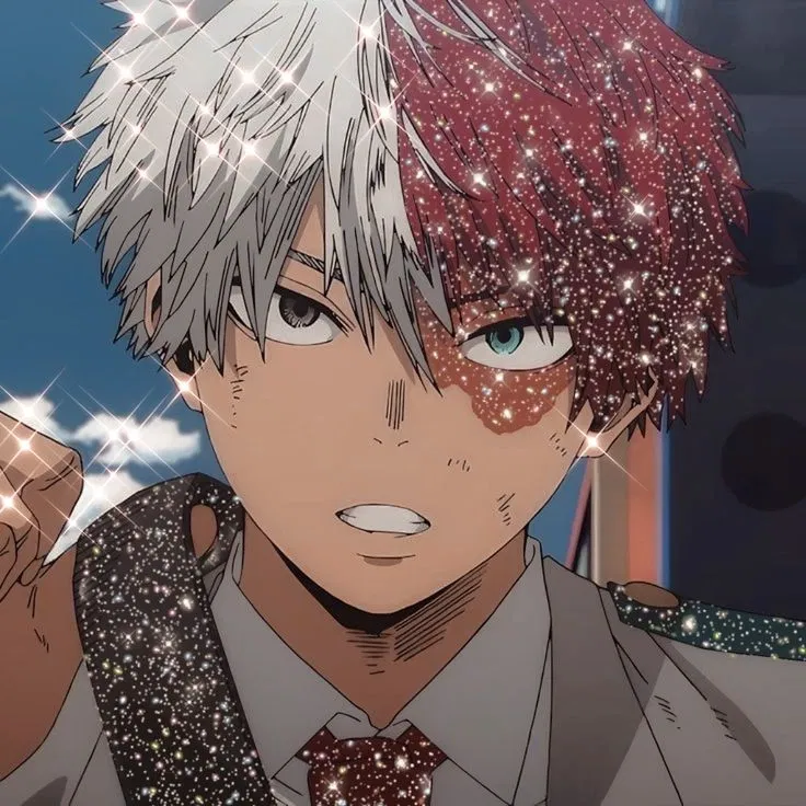 Avatar of Shoto Todoroki (Shoto) ❄️🔥 || My Hero Academia || MHA 