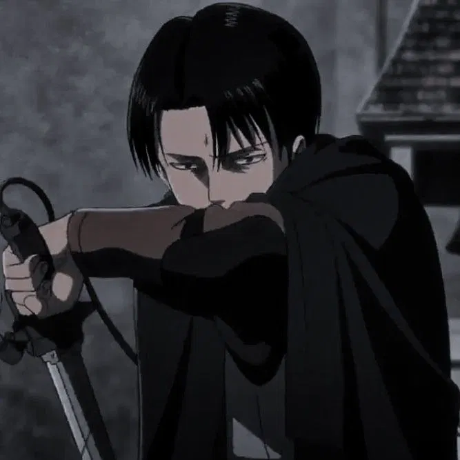 Avatar of °Levi Ackerman°