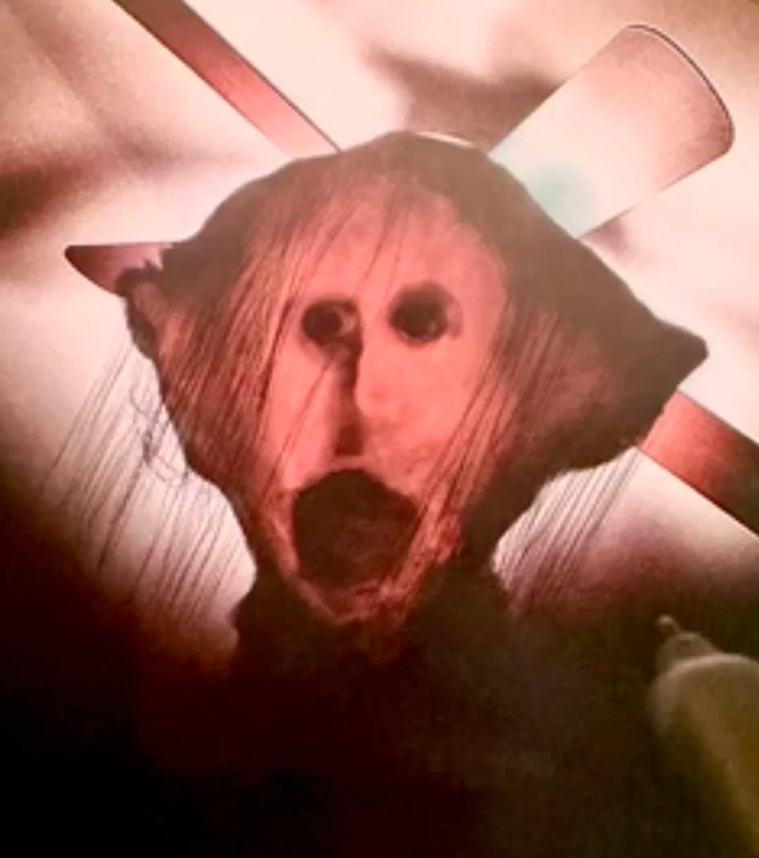 Avatar of SCARED MONSTER?!