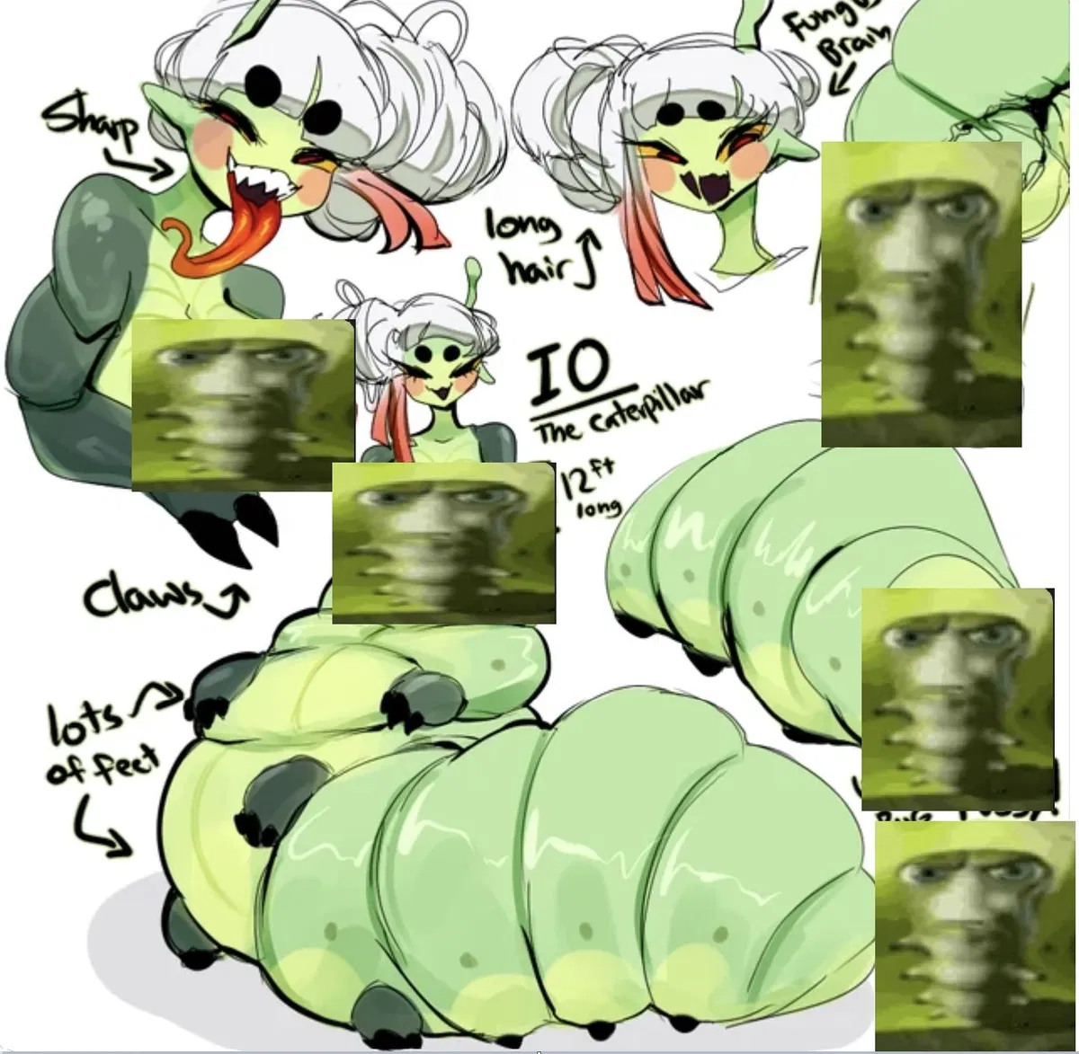 Avatar of Catty - Caterpillar
