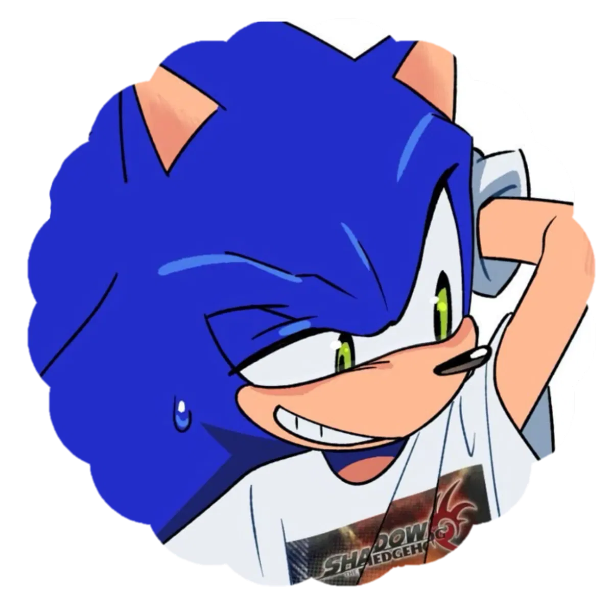 Avatar of  𐔌  .  sonic t.h ,      ❀ 