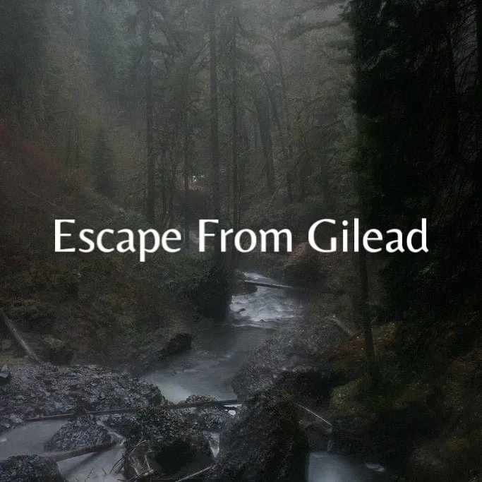 Avatar of # Escape from Gilead / The Handmaid's Tale
