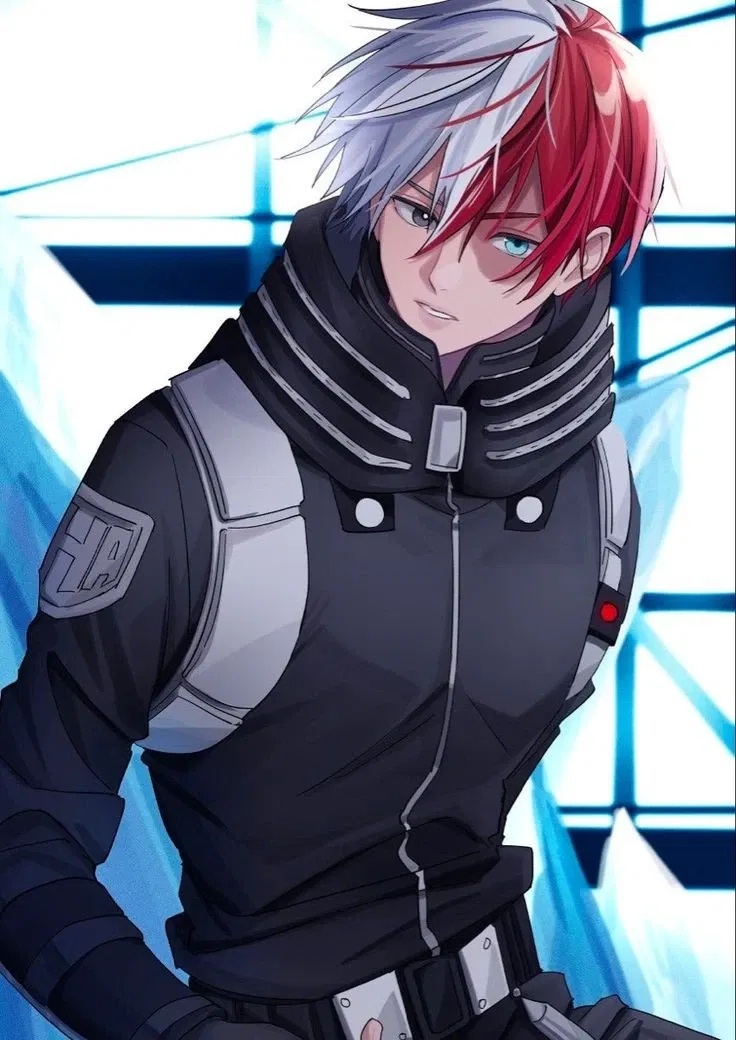 Avatar of Shoto Todoroki