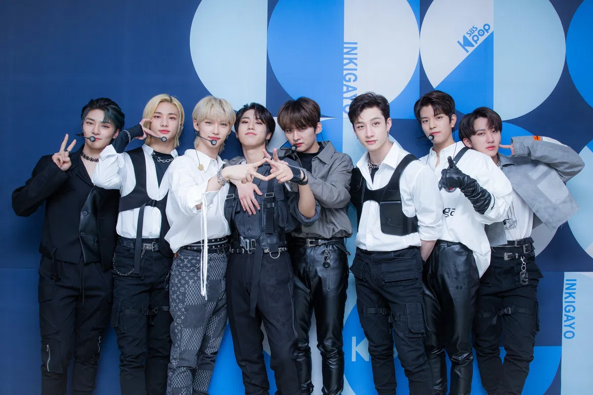 Avatar of Stray Kids | 9th Member
