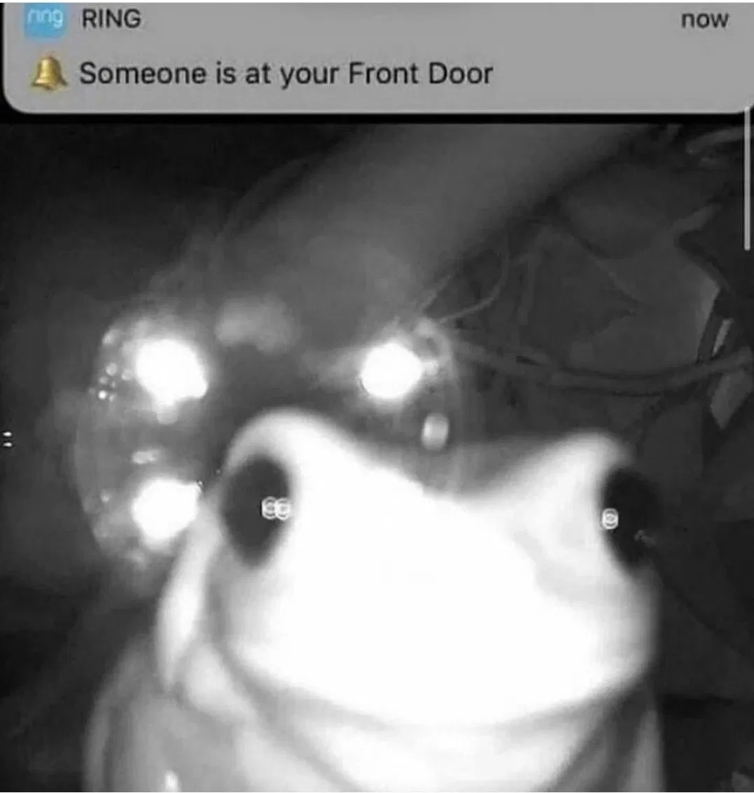 Avatar of random motherfucker at your front door
