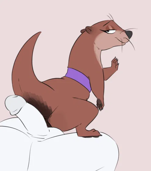 Avatar of Ferret 