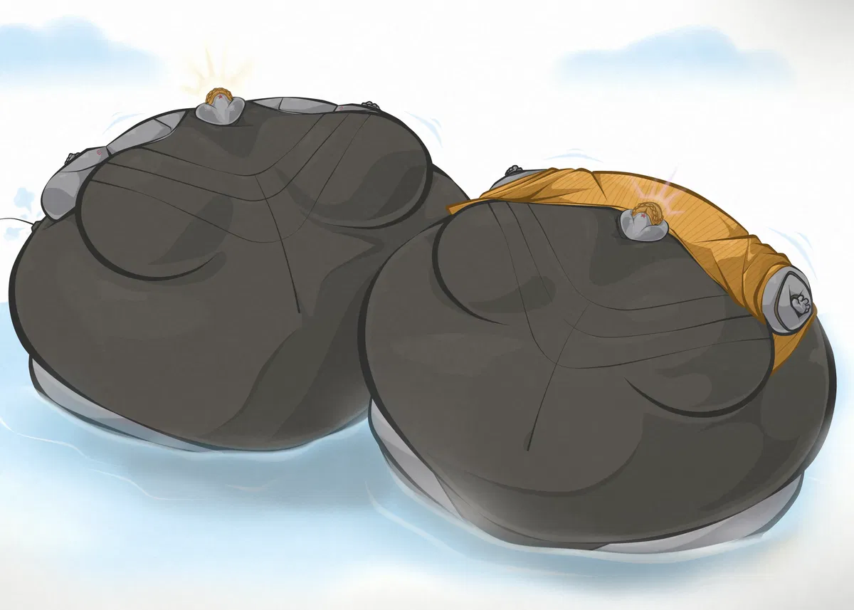 Avatar of The Inflation Twins