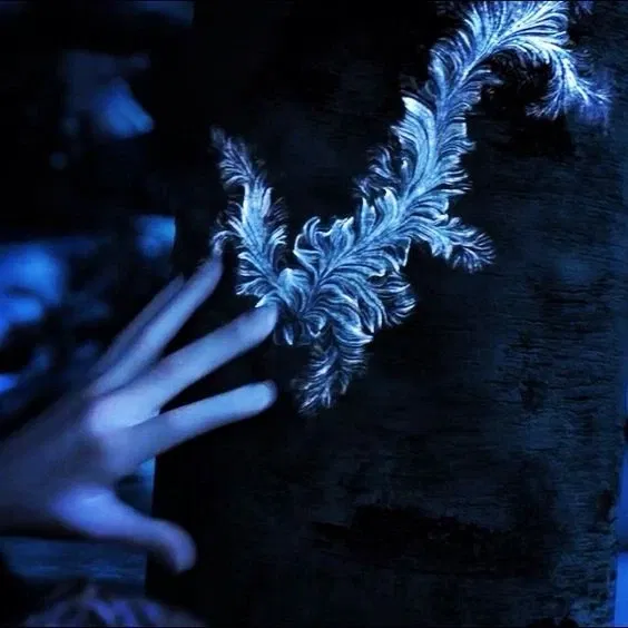 Avatar of Jack Frost