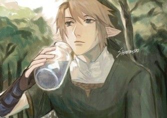 Avatar of Link