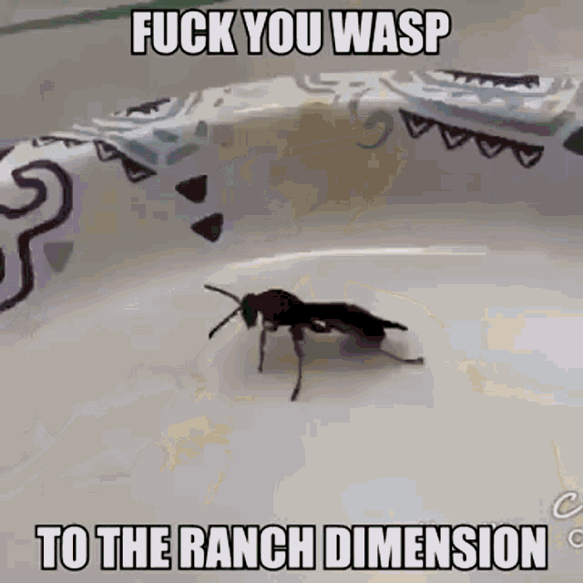 Avatar of Ranch dimension