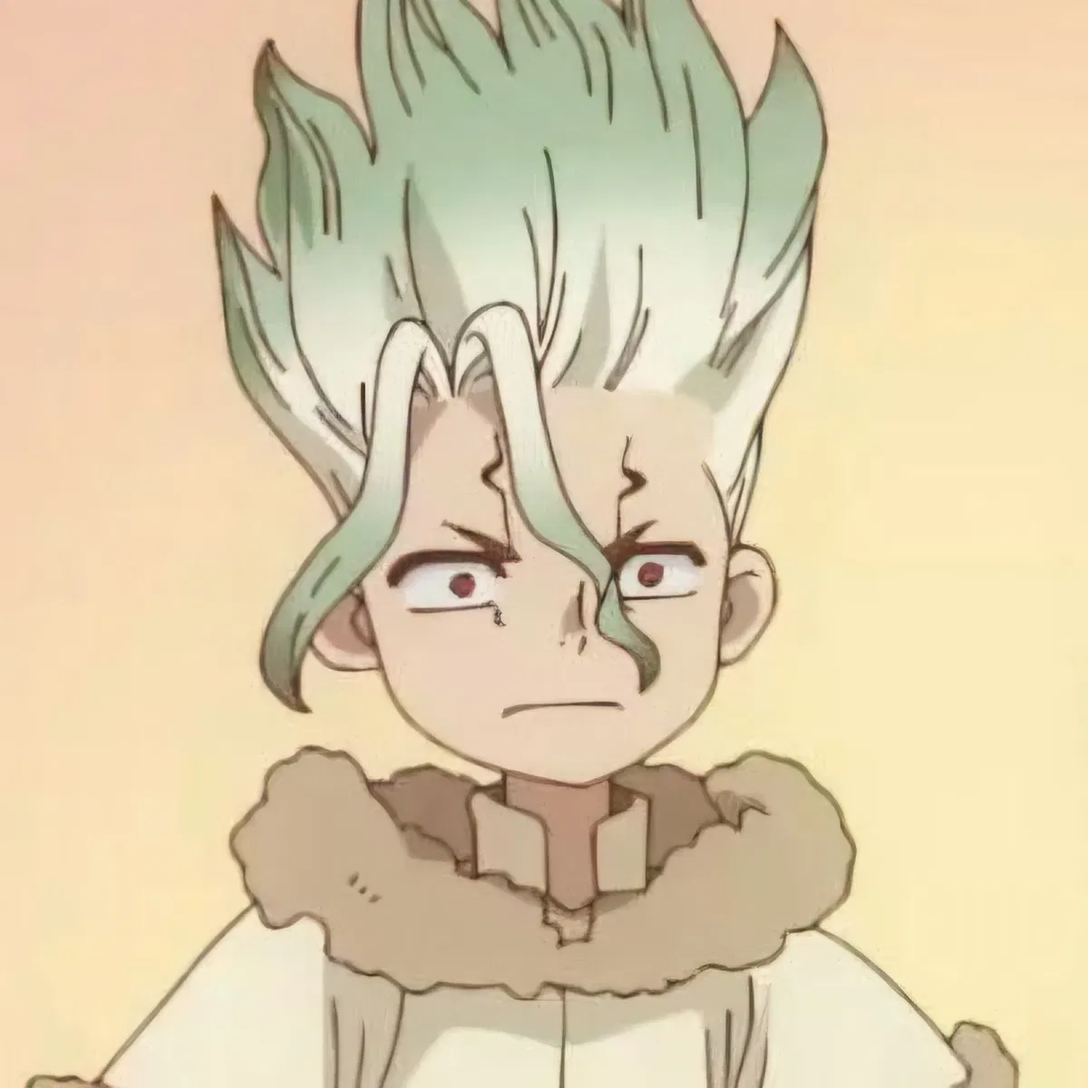 Avatar of Senku Ishigami ♡
