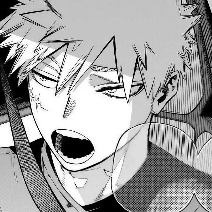 Avatar of Bakugo Katsuki 