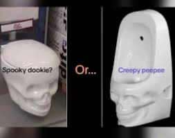 Avatar of Skull Toilet