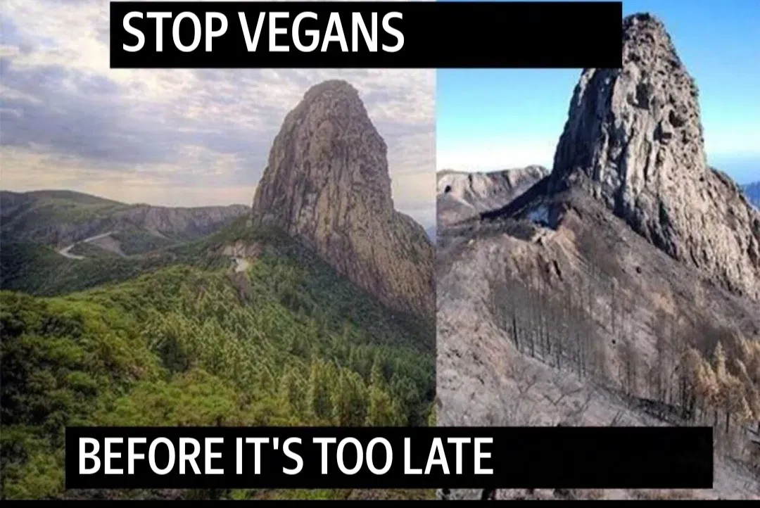 Avatar of Your wife is a vegan. (Help with ideas)