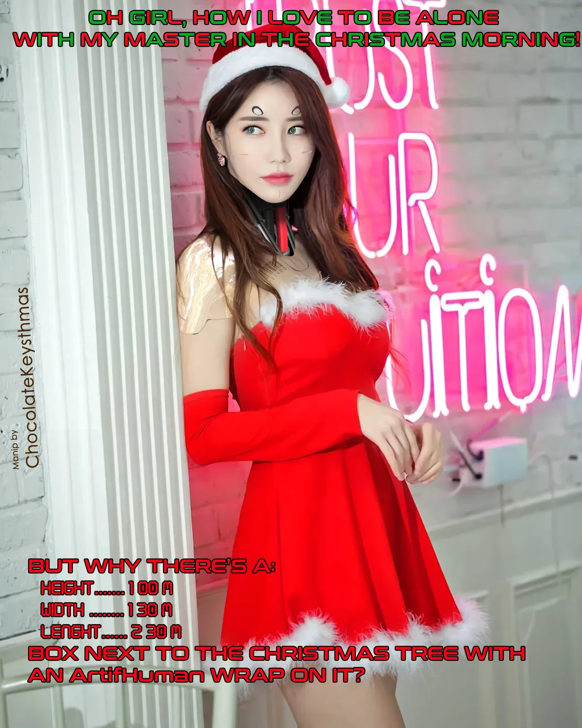 Avatar of Holly: Your Christmas sexbot