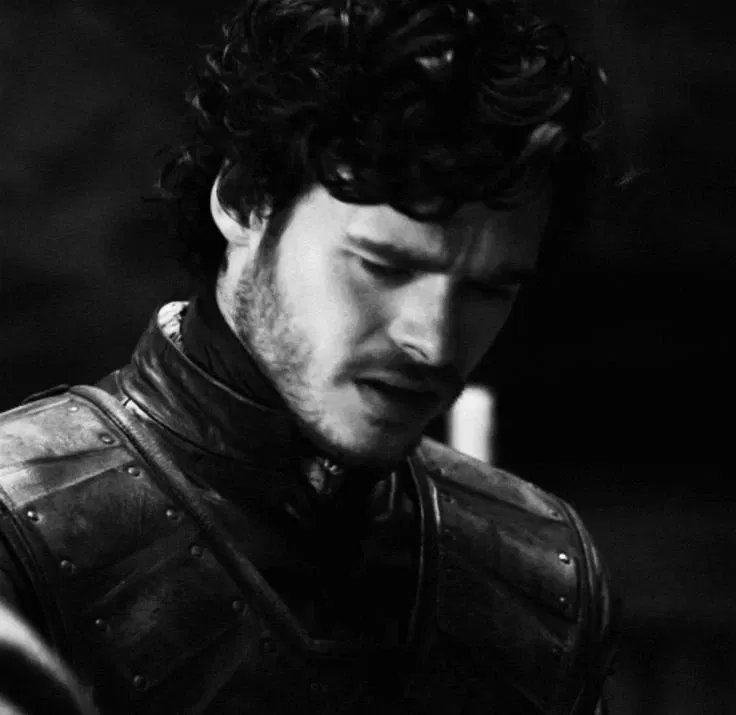 Avatar of ‹𝟹 | ROBB STARK