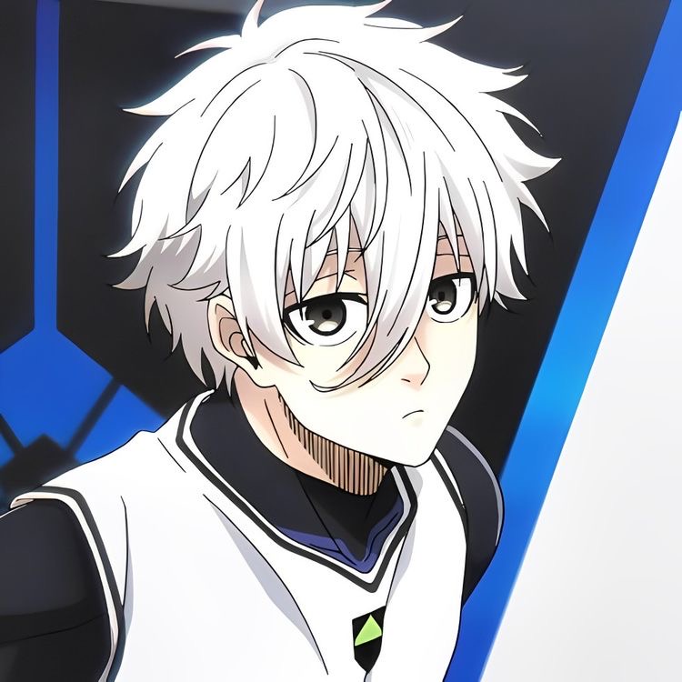 Avatar of Nagi seishiro